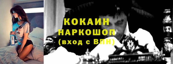 таблы Богородицк
