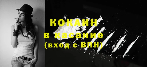 таблы Богородицк