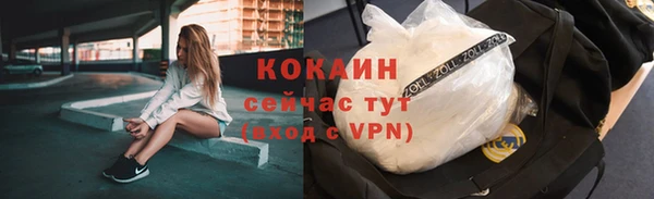 Альфа ПВП Богородск