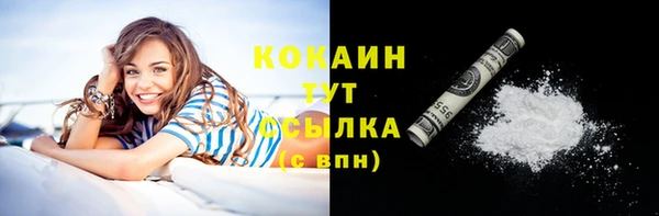 Альфа ПВП Богородск