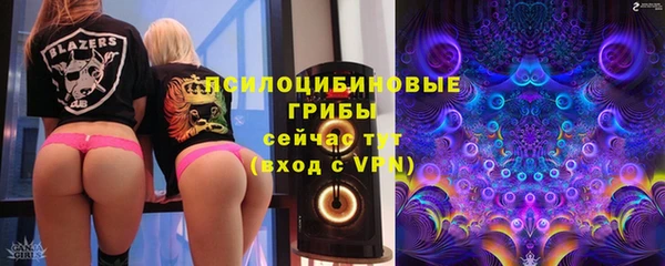 таблы Богородицк
