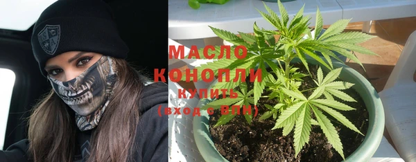таблы Богородицк