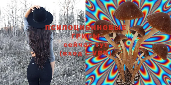 Альфа ПВП Богородск