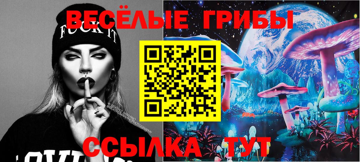 Галлюциногенные грибы Psilocybe Маркс